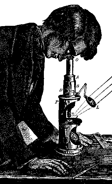 Styled after the original design.